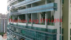 Soleil @ Sinaran (D11), Condominium #88391212